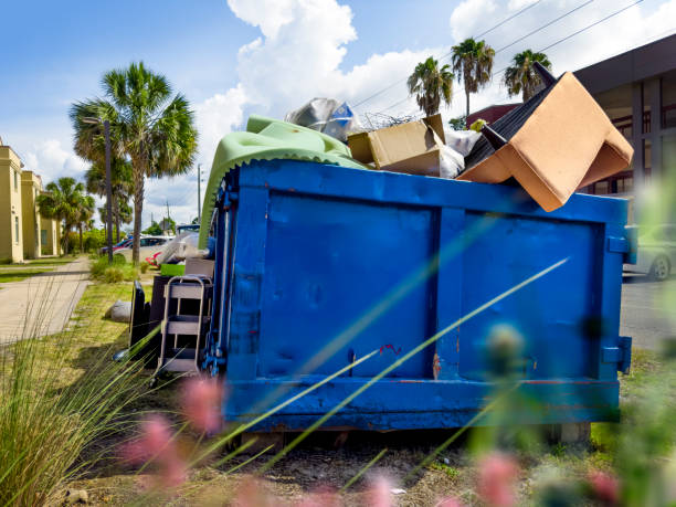 Best Electronics Removal Services  in Sioux City, IA